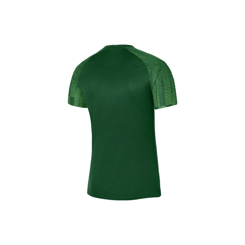 Nike Kinder Academy 22 Trikot grün