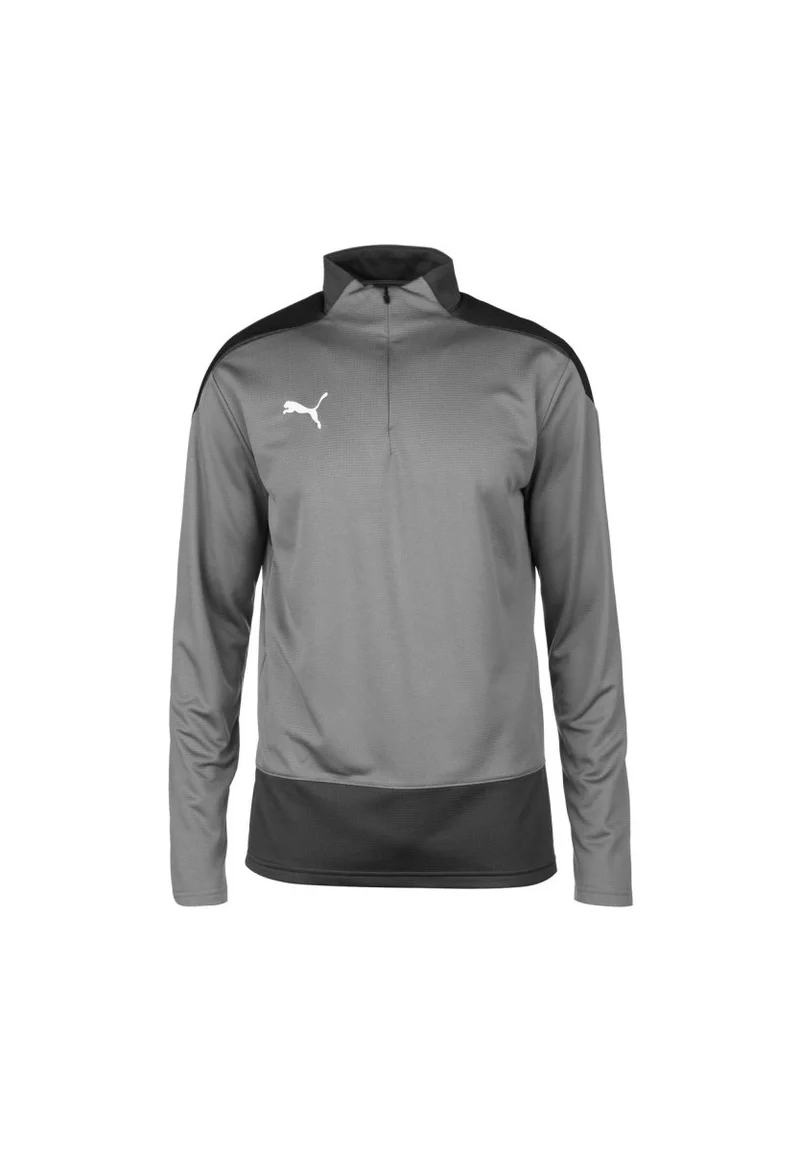 Puma GOAL 23 Training 1/4 Top Herren grau
