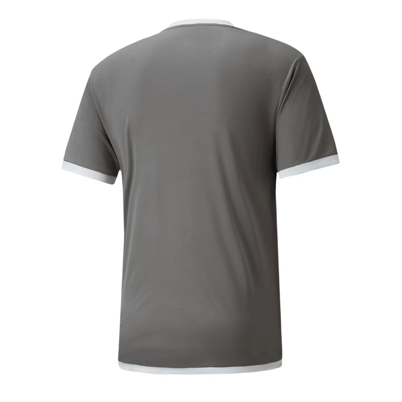 Puma teamLIGA Trikot Herren - grau