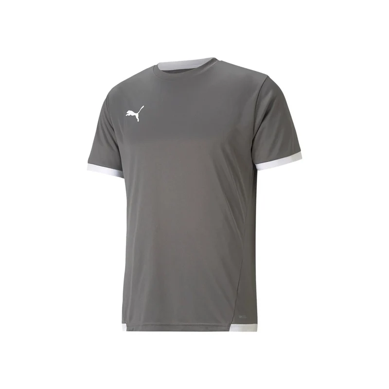 Puma teamLIGA Trikot Herren - grau