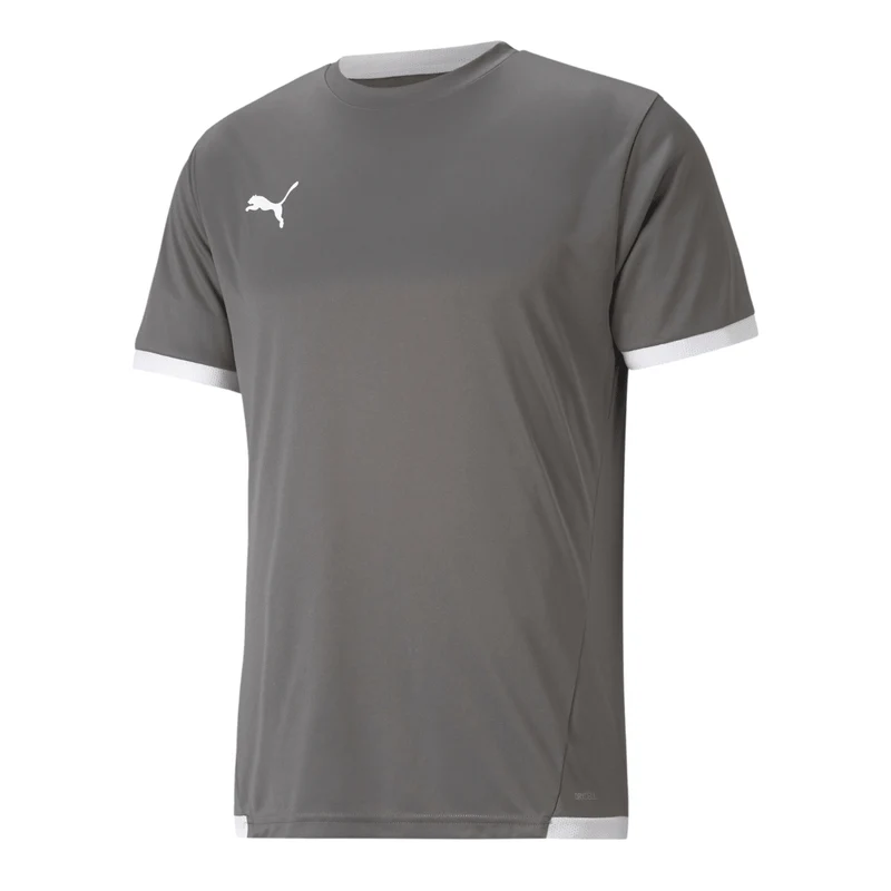 Puma teamLIGA Trikot Herren - grau