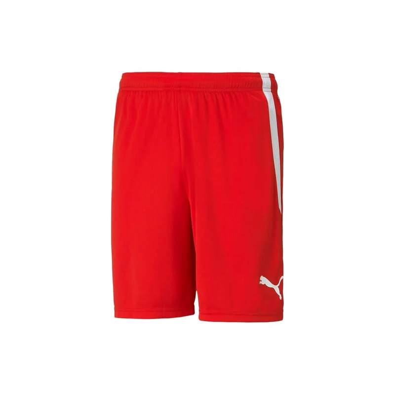 Puma teamLIGA Shorts Herren - rot