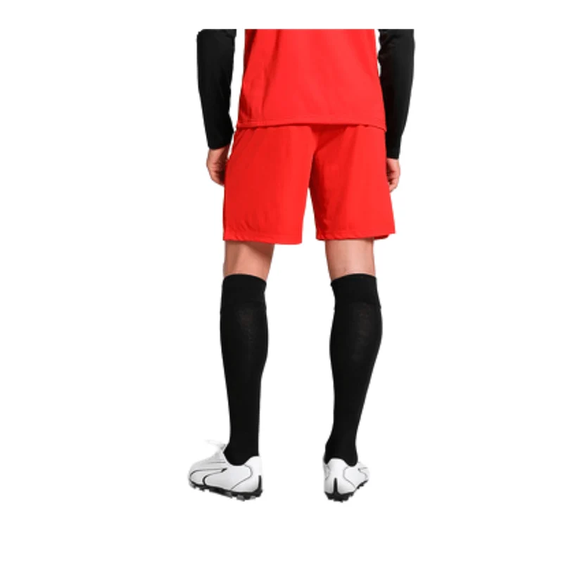 Puma teamLIGA Shorts Herren - rot