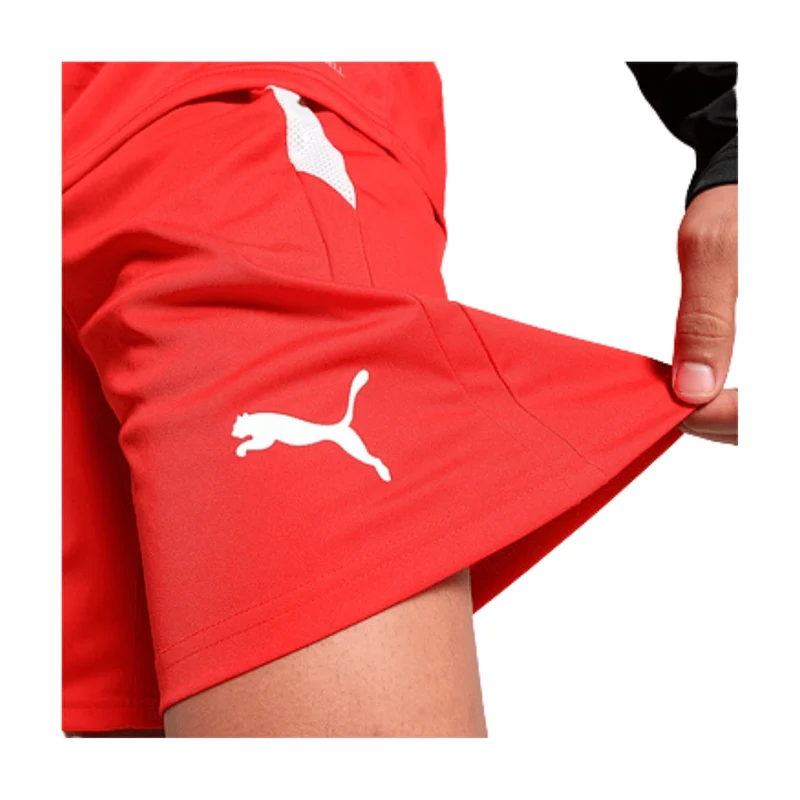 Puma teamLIGA Shorts Herren - rot