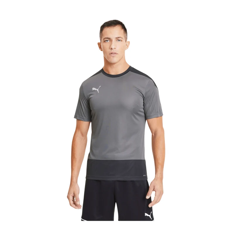 Puma teamGOAL 23 Trainingsshirt Herren - grau