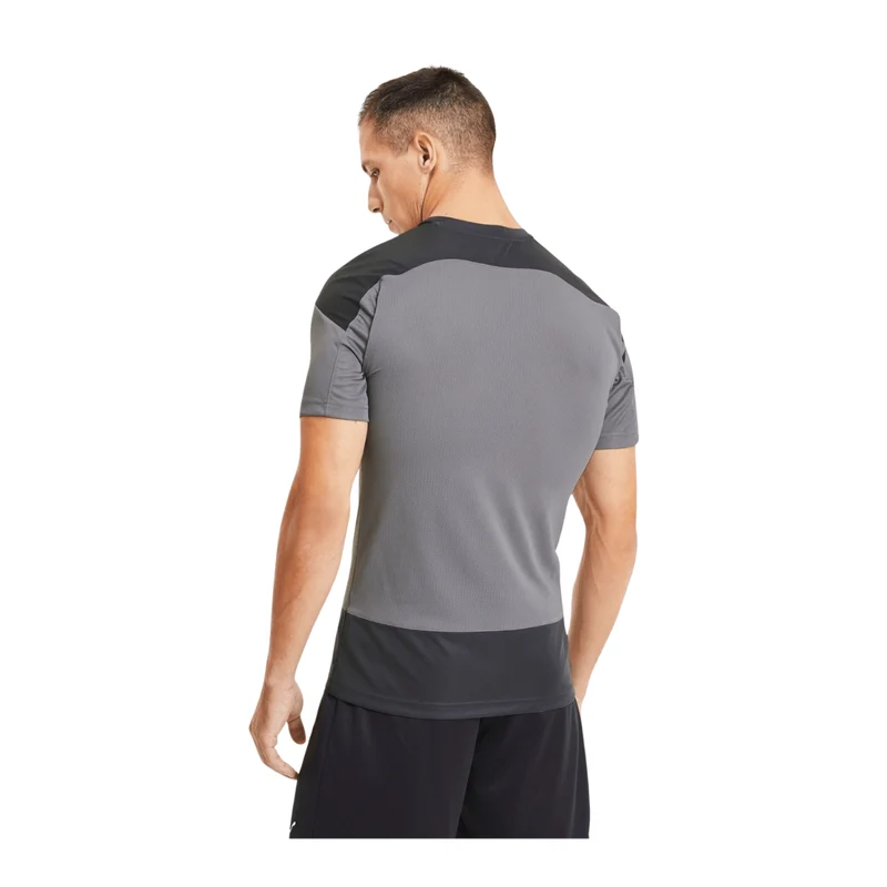 Puma teamGOAL 23 Trainingsshirt Herren - grau