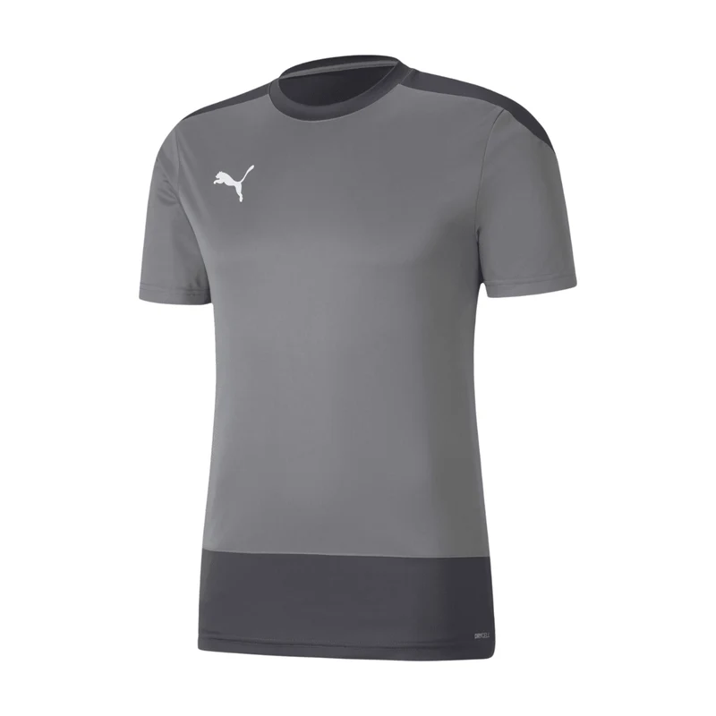 Puma teamGOAL 23 Trainingsshirt Herren - grau