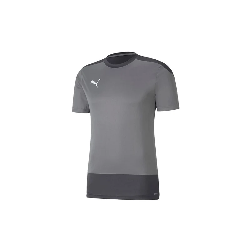 Puma teamGOAL 23 Trainingsshirt Herren - grau