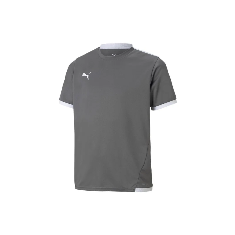 Puma teamLIGA Trikot Kinder - grau/weiß