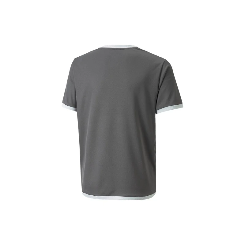 Puma teamLIGA Trikot Kinder - grau/weiß
