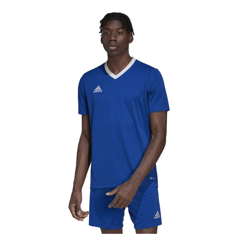 Adidas Entrada 22 Trikot Herren - blau