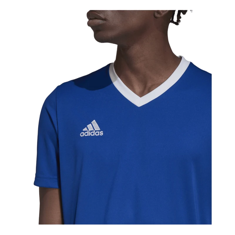 Adidas Entrada 22 Trikot Herren - blau