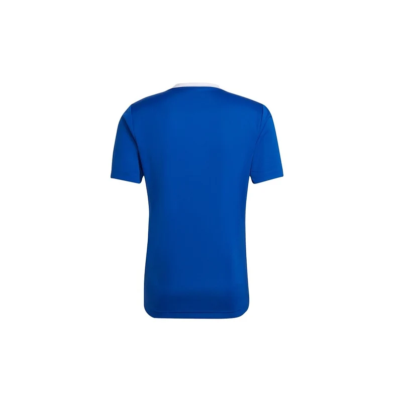 Adidas Entrada 22 Trikot Herren - blau
