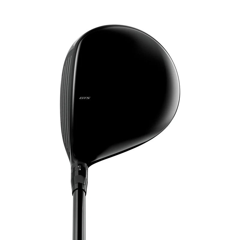 GTS300 Mini Golf Driver