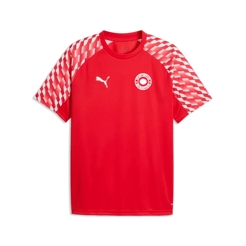 SV Großefehn x Puma - Trainingsshirt
