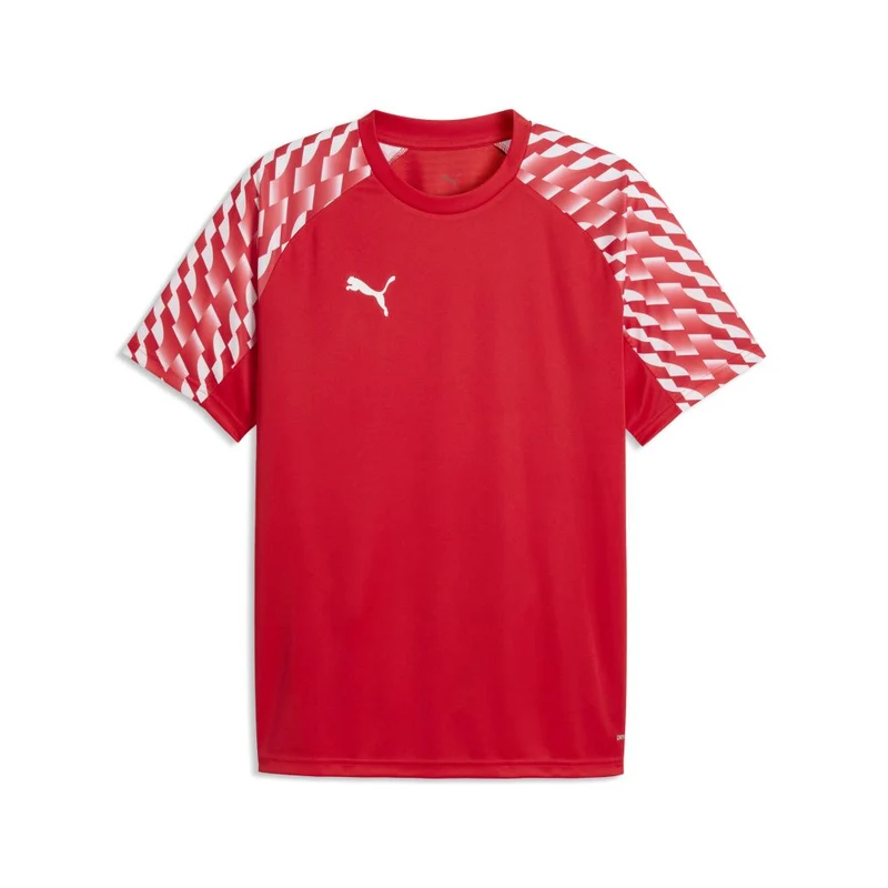 SV Großefehn x Puma - Trainingsshirt