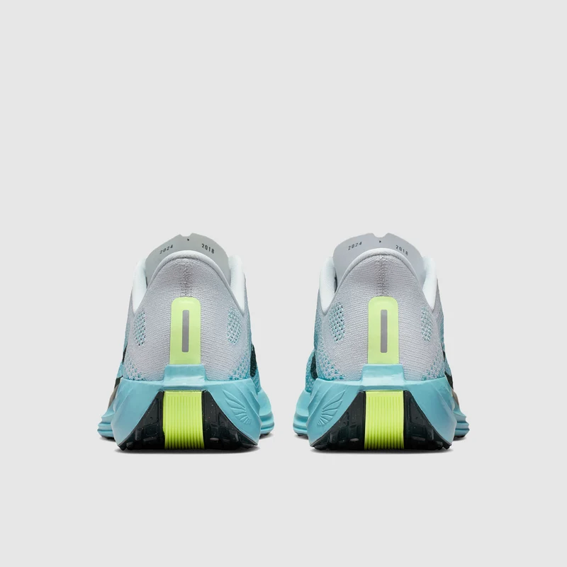 Nike Straßenlaufschuh (Herren) Pegasus Plus