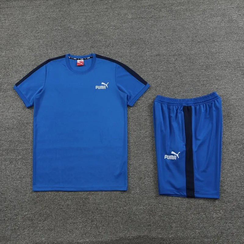 Puma Set Herren Trikot und Shorts