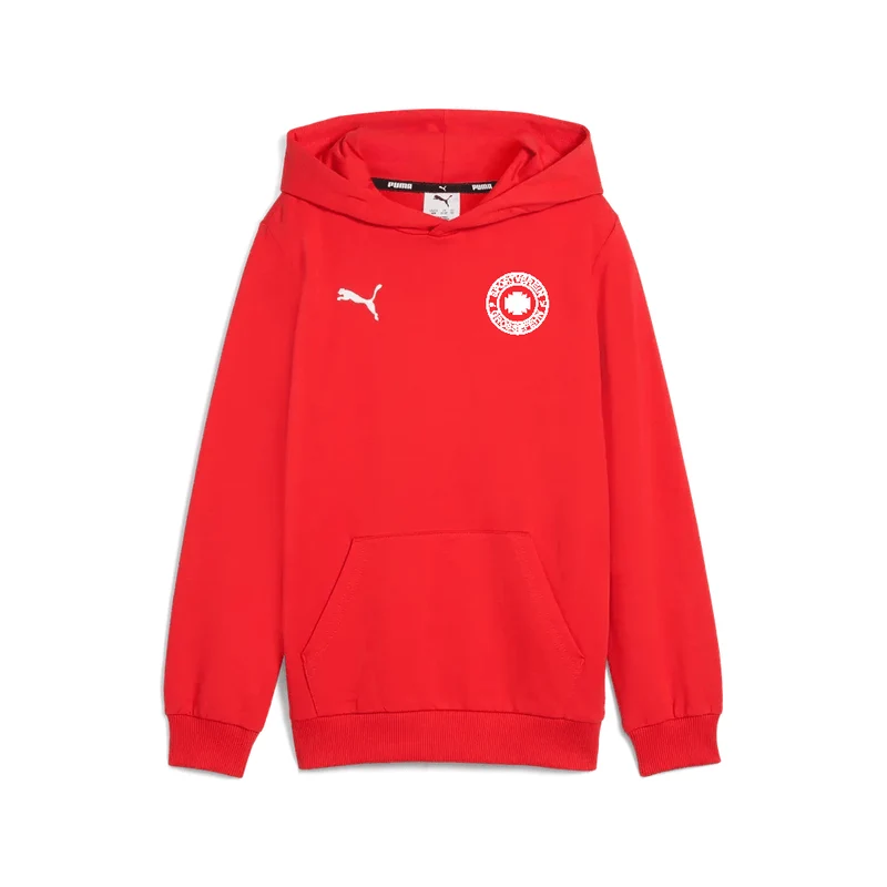 SV Großefehn x Puma - Hoodie
