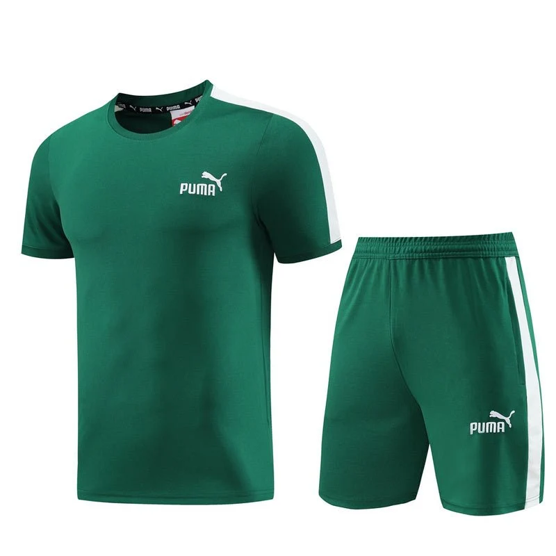 Puma Set Herren Trikot und Shorts