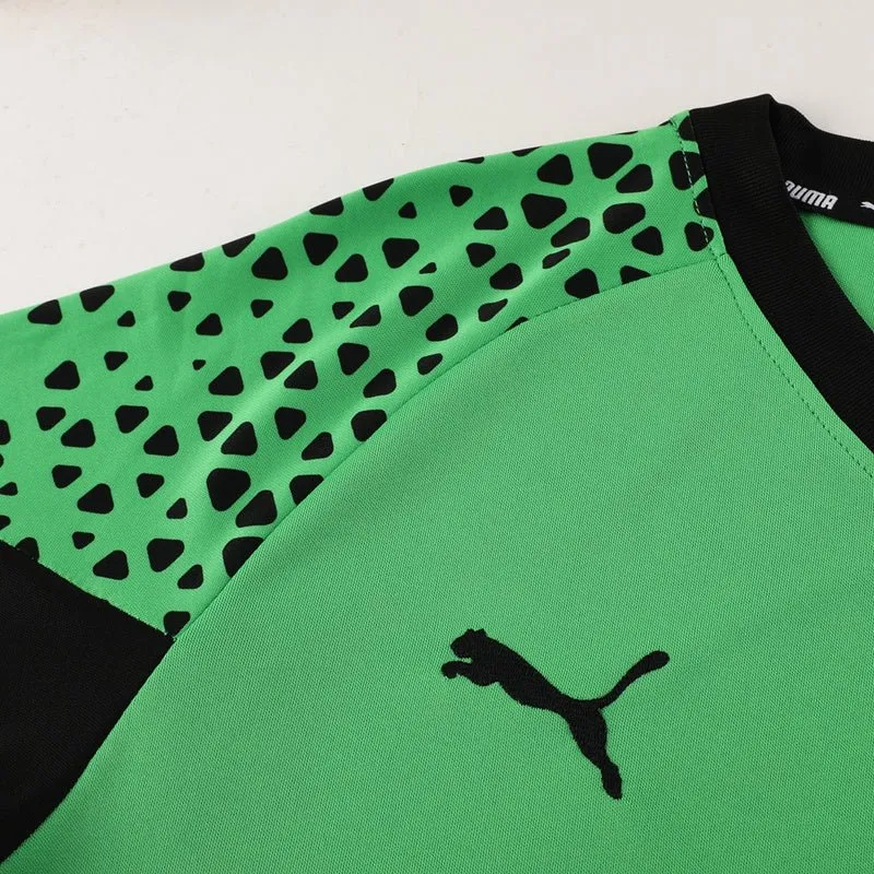 Puma Set Herren Trikot und Shorts