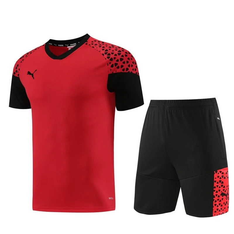 Puma Set Herren Trikot und Shorts