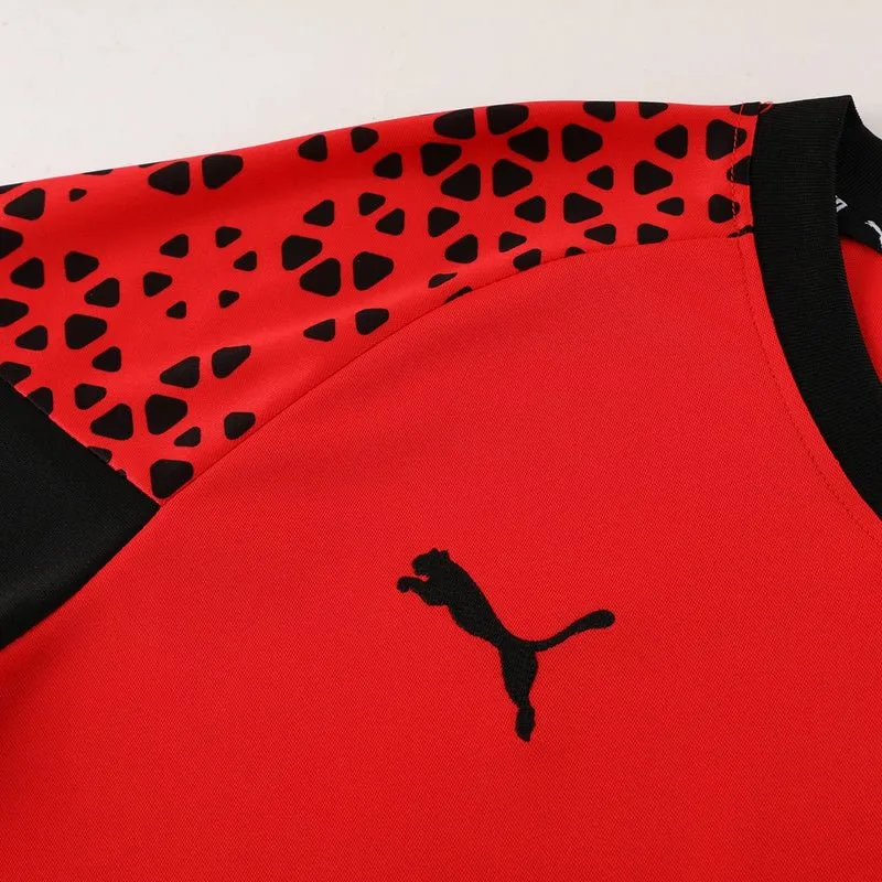 Puma Set Herren Trikot und Shorts