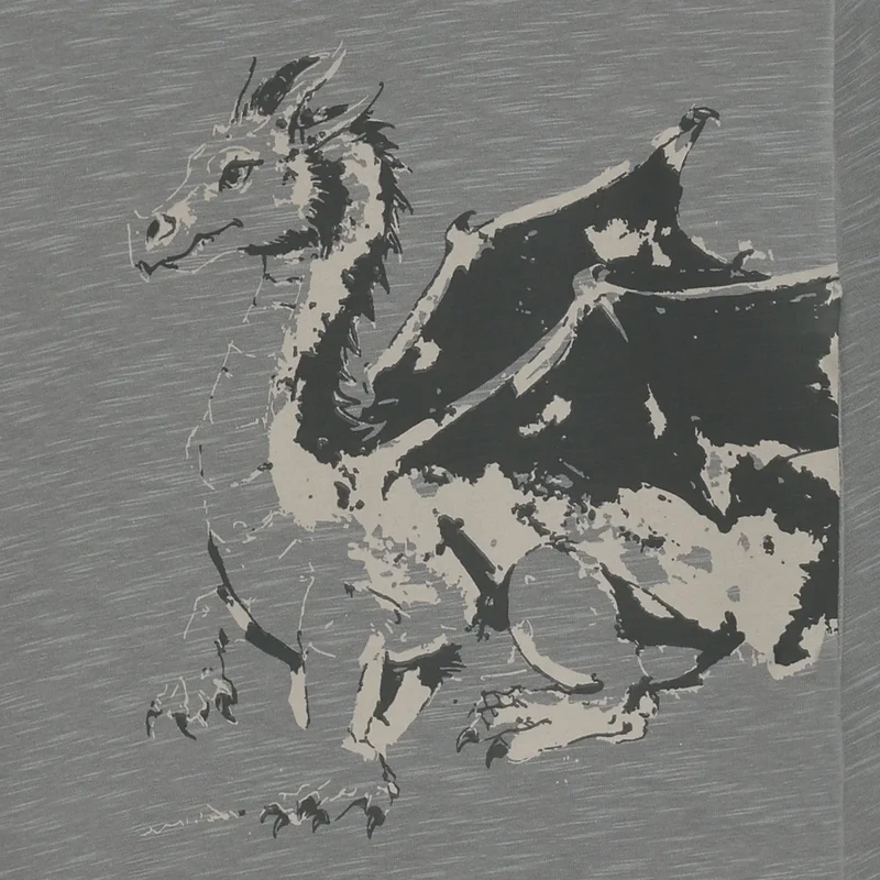 T-shirt ls Blusen