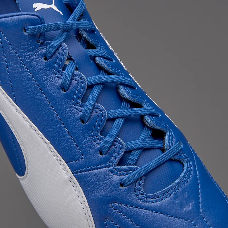 Puma evoSPEED 17.SL Leder FG