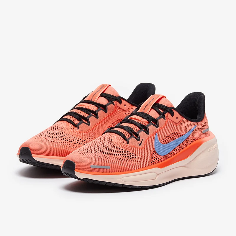 Nike Sportswear Ältere Kinder Pegasus 41 (GS)