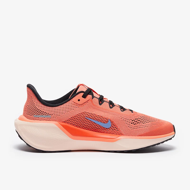 Nike Sportswear Ältere Kinder Pegasus 41 (GS)