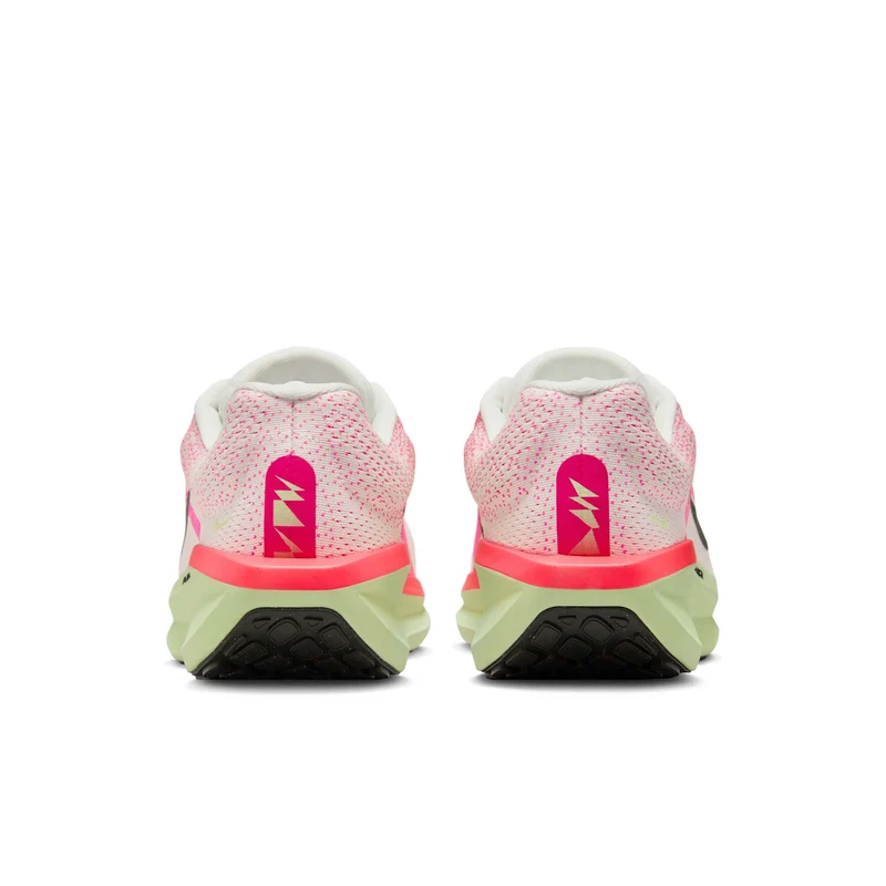 Nike Straßenlaufschuh (Herren) Winflo 11