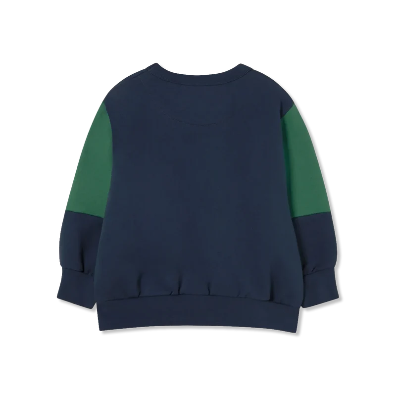 Tiny Sweatshirt
