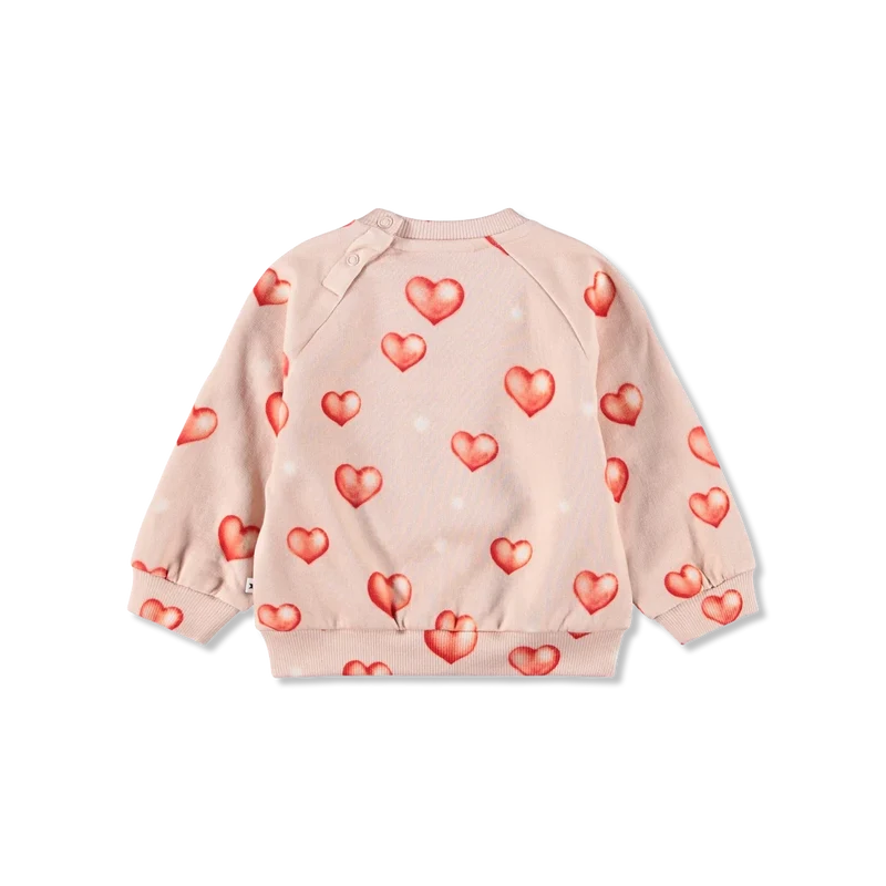 Disc Sweatshirt