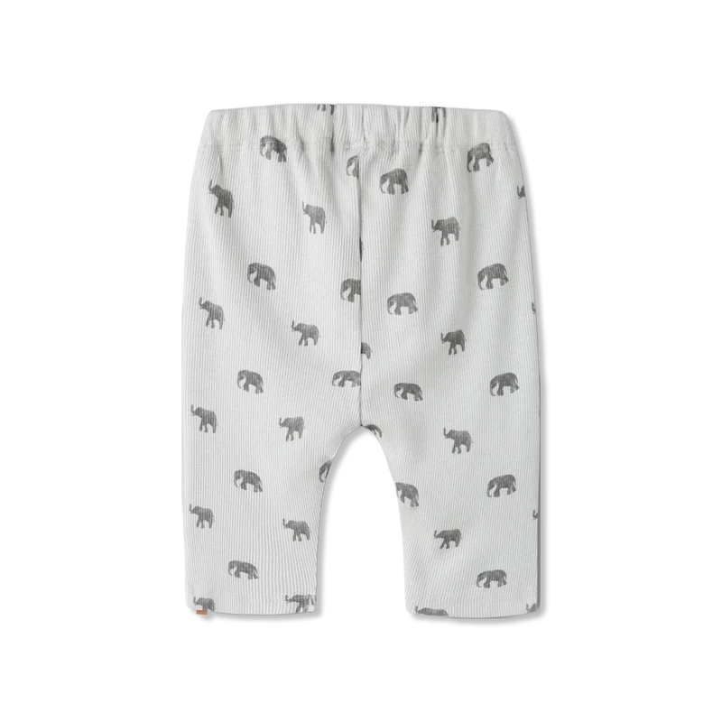 Nbmlavo Hose