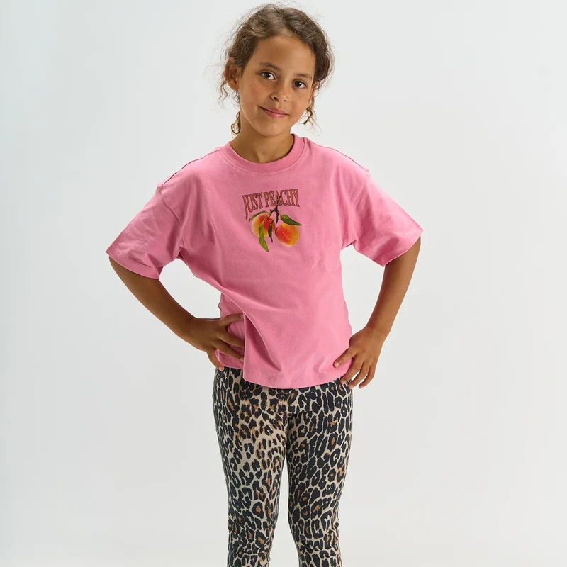 TNTenna t-Shirt