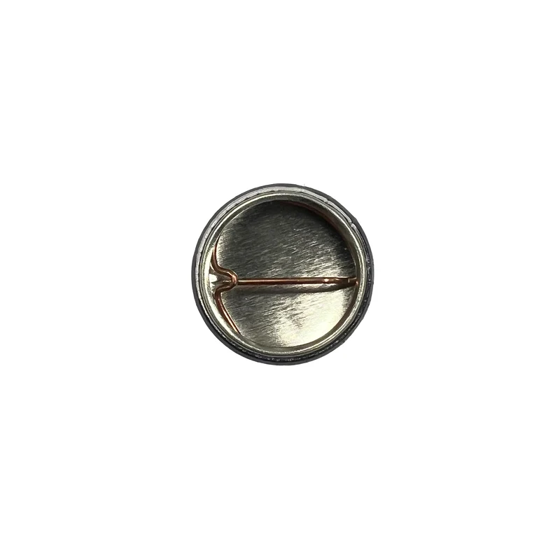 Falkirk Button Badge