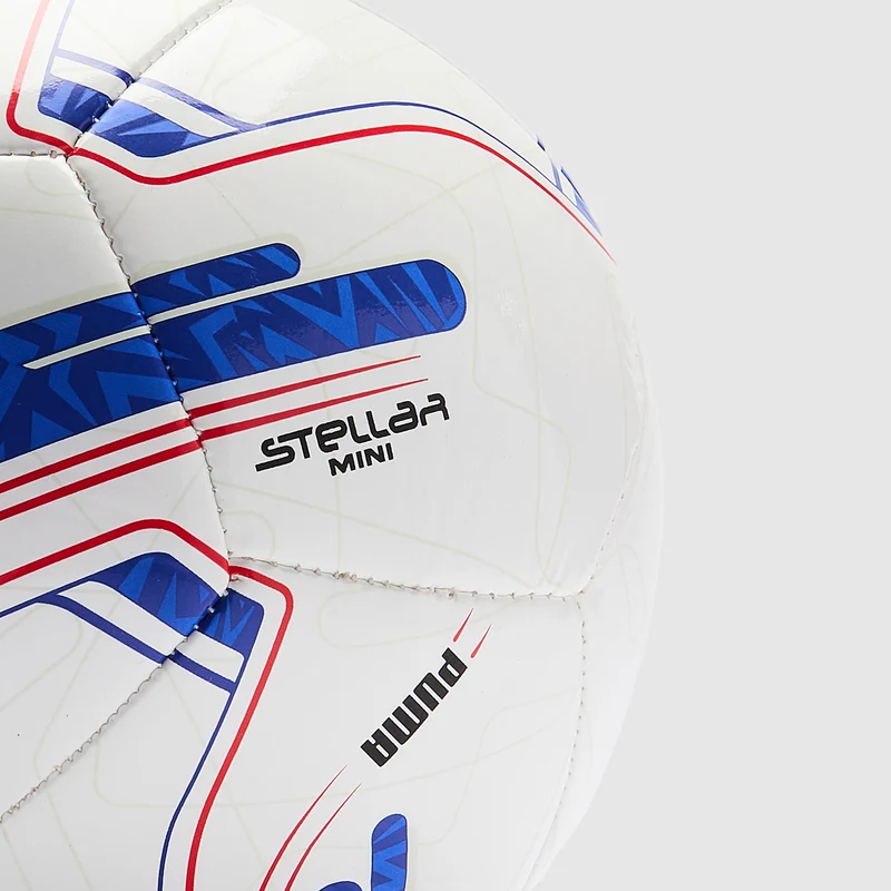 Puma EFL 26/27 Mini Football