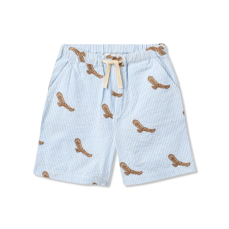 Shorts Shorts