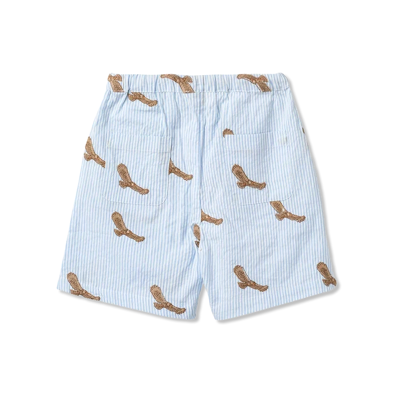 Shorts Shorts