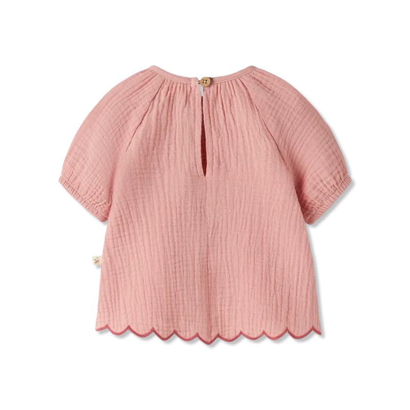 Nbfhiba Top