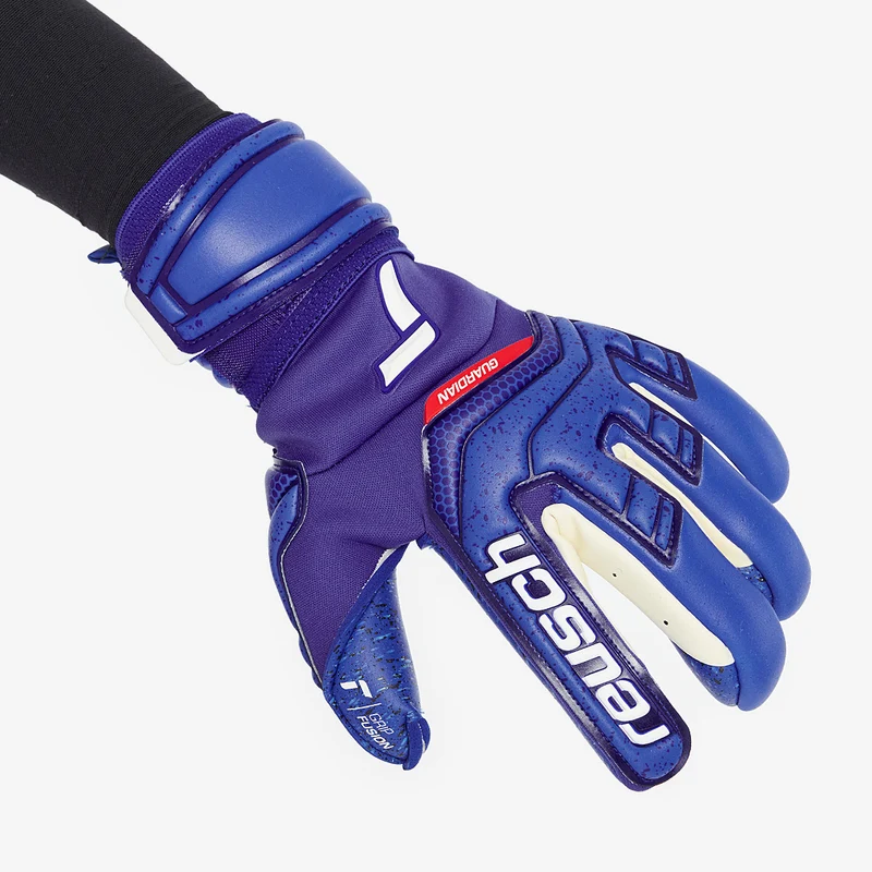 Reusch Attrakt Fusion Guardian