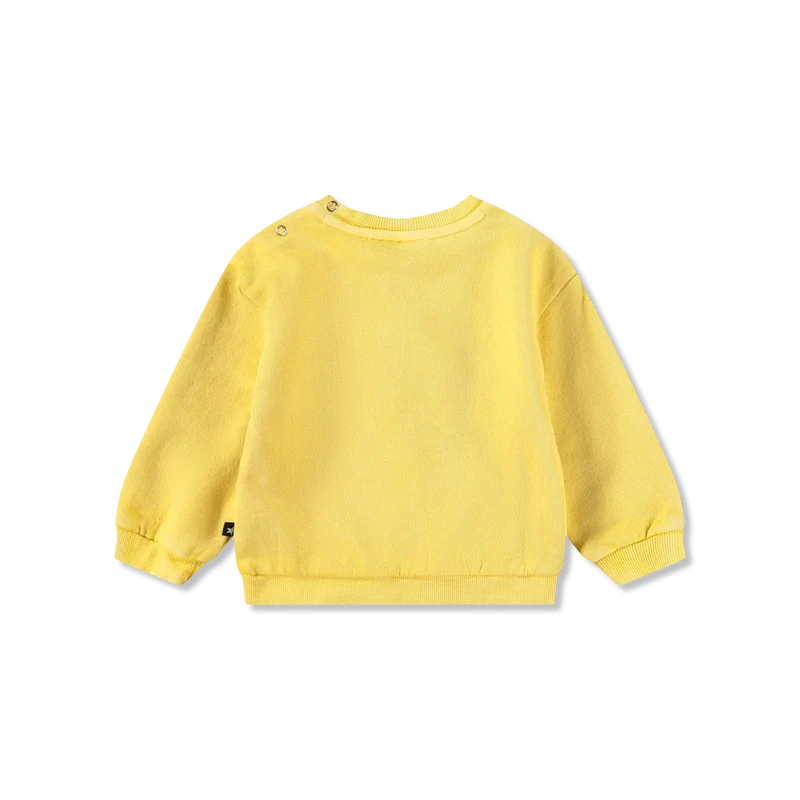 Dear sweatshirts