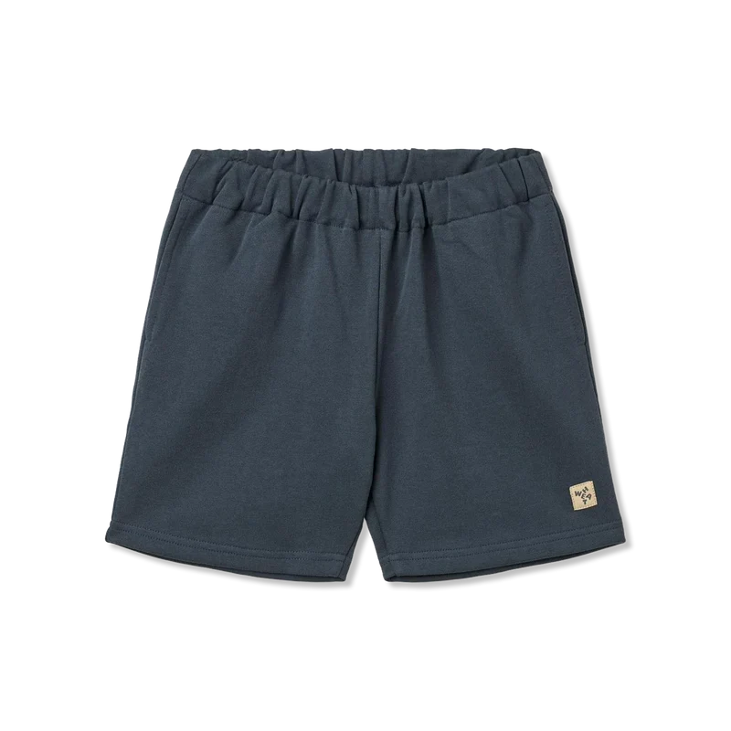 Aksel shorts