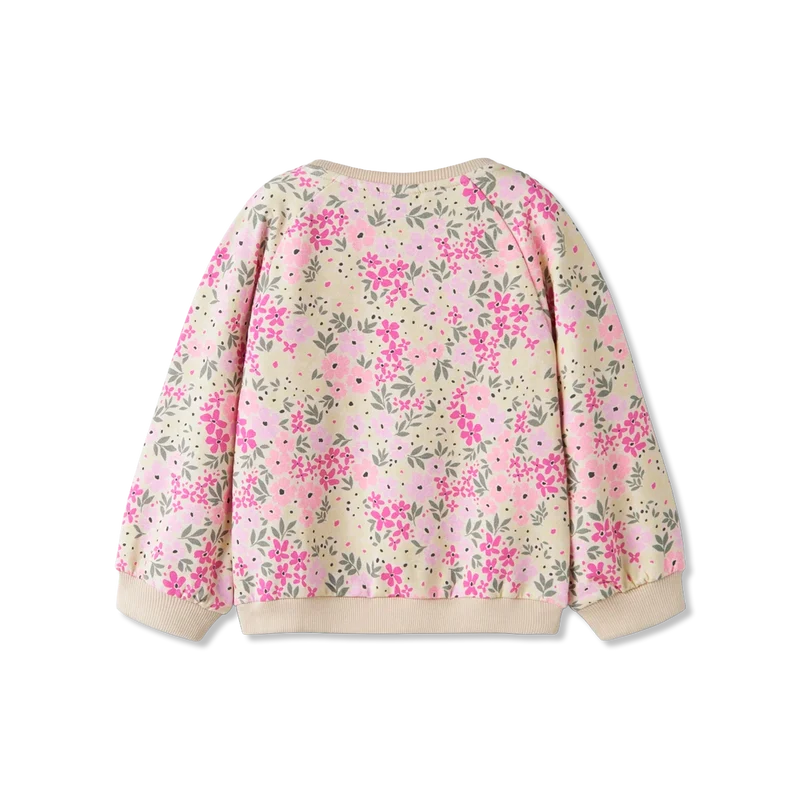 Nmfdartia sweatshirts