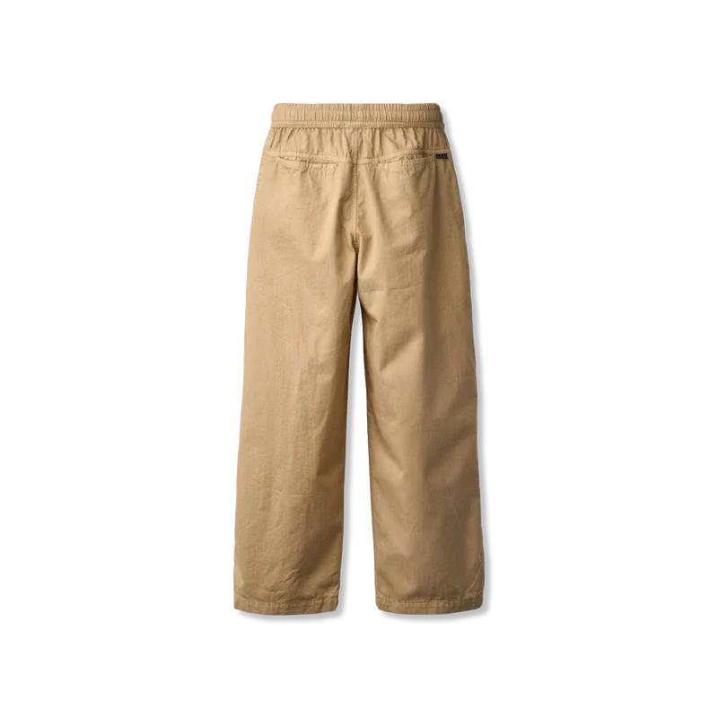 Aster hose