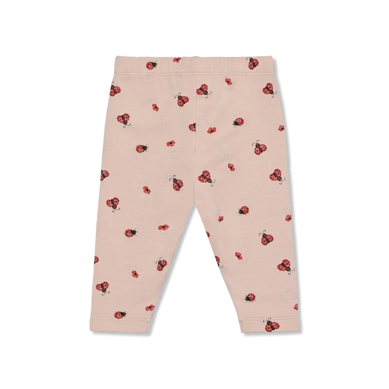 Pants hose
