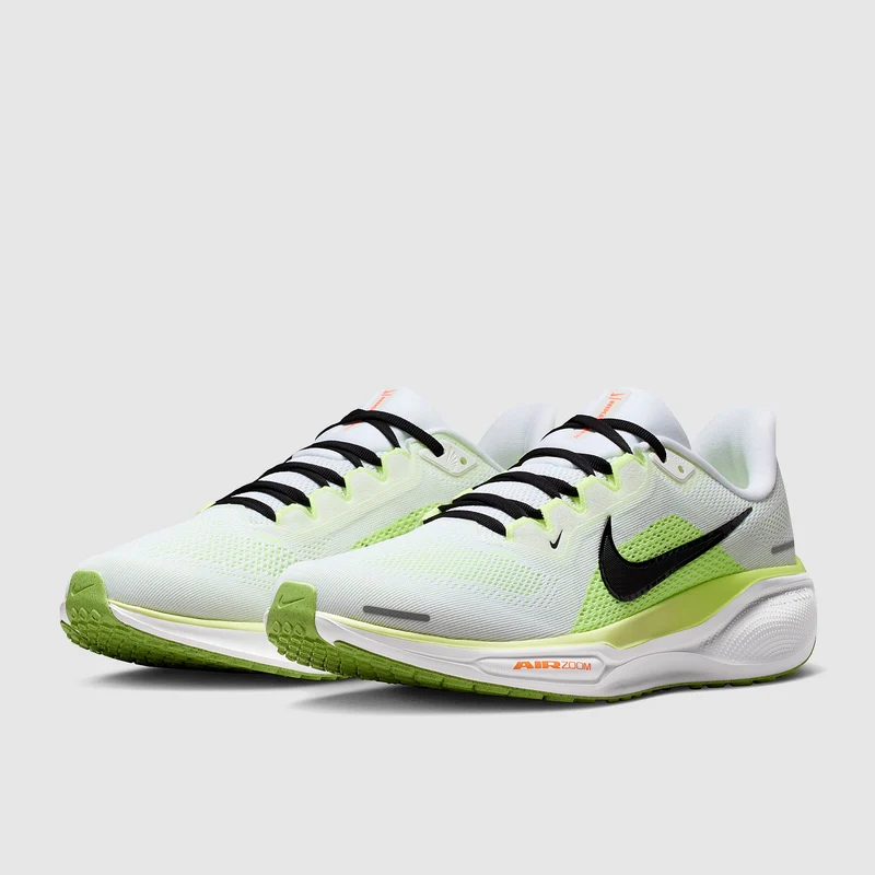 Nike Straßenlaufschuh (Herren) Pegasus 41