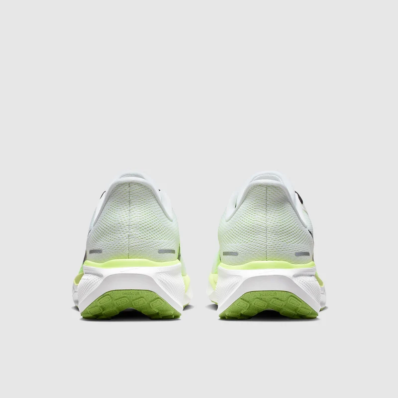 Nike Straßenlaufschuh (Herren) Pegasus 41