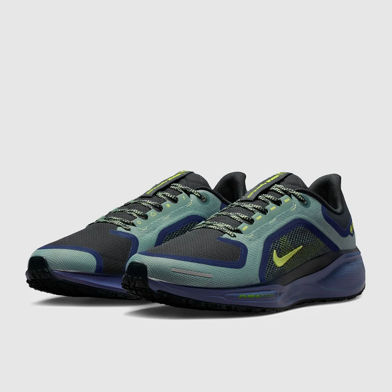 Nike Wasserdichter Straßenlaufschuh (Herren) Pegasus 41 GORE